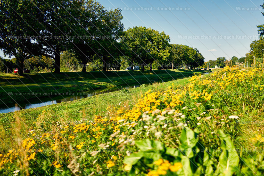 Grüner Saum Hoyerswerda - Nordteil an der Schwarzen Elster | Grüner Saum Hoyerswerda - Nordteil an der Schwarzen Elster - Realisiert mit Pictrs.com