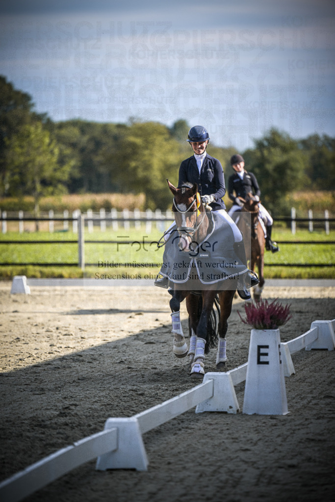 DOS_0072 | Entdecke hochwertige Reitturnierfotos von Foto Oger. Professionell, emotional und authentisch – jetzt Lieblingsmomente im Shop bestellen.Deutschlandweite Turnierfotografie. - Realisiert mit Pictrs.com