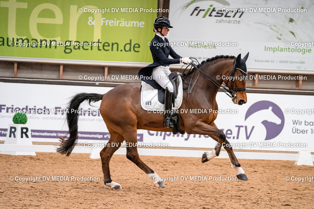 Kranichstein Tag 1-581 | dv-media-shop - Realisiert mit Pictrs.com