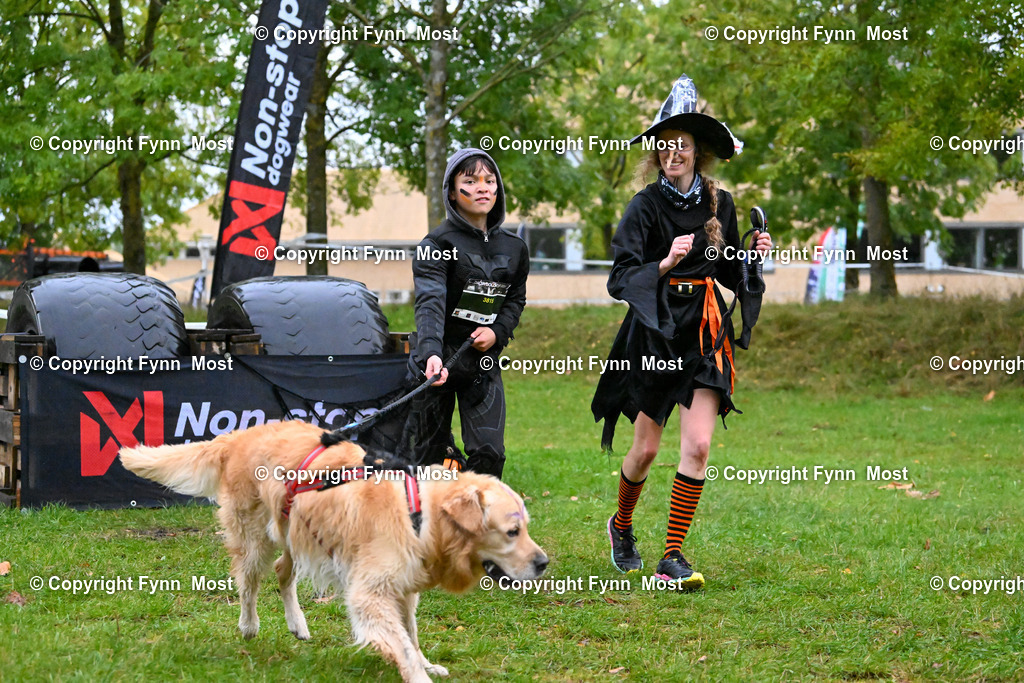 DSC_8799 | Hallo und herzlich Willkommen auf meiner Shop-Seite Fynn Most.

Ich wünsche Dir viel Spaß beim stöbern durch die Bilder, wenn Du Fragen hast oder Bilder vermisst, kannst du mir gerne eine Nachricht schreiben. - Realized with Pictrs.com