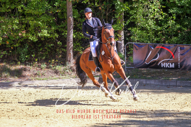 DKP43196 | Deine Turnierfotos vom Reitturnier online kaufen: Dressur, Springen & Siegerehrung. Professionelle Pferdefotografie aus dem Rheinland – als Download & Print.Alternative: Turnierfotograf für den Pferdesport: Finde deine Fotos von Dressur- und Springturnier