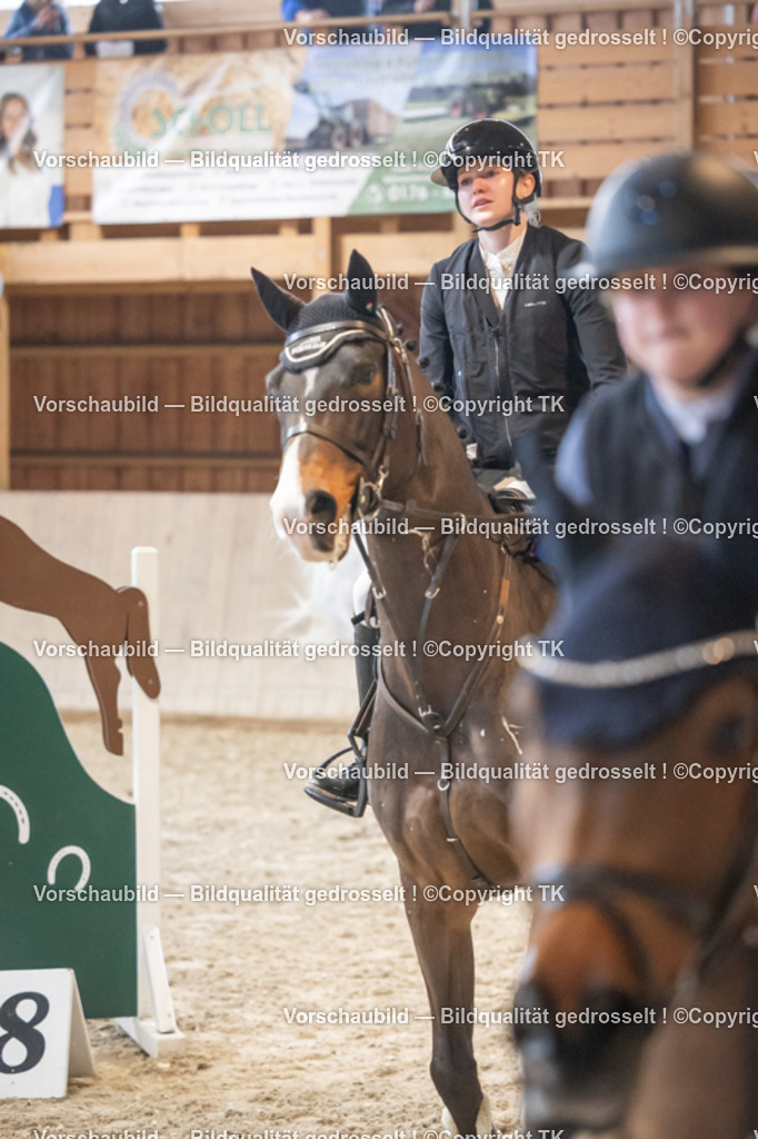 _D5A7969 | Emotionale Pferde- & People-Fotografie rund um Heidelberg, Leimen & Umgebung. Natürliche Fotos von Pferd, Mensch & Familie. Jetzt Termin sichern!