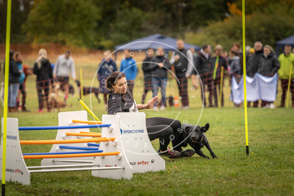 Pfotenfotografie_DV3A7581 | Hundefotografie, Tierfotograf, Pfotenfotografie, Fotoshooting Hund, Hunde Portrait, Hundesport, Hundeportraits, Heideshooting, Hunde, Sportfotograf, Hundefotograf, Turnierhundsport, THS,  - Realisiert mit Pictrs.com