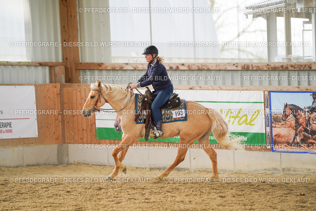 DSC06415 | Pferdegrafie