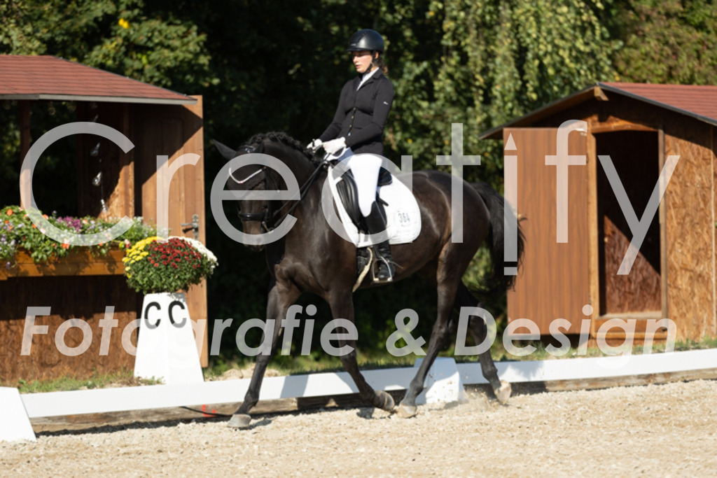 IMG_0558 | Creatify Fotografie