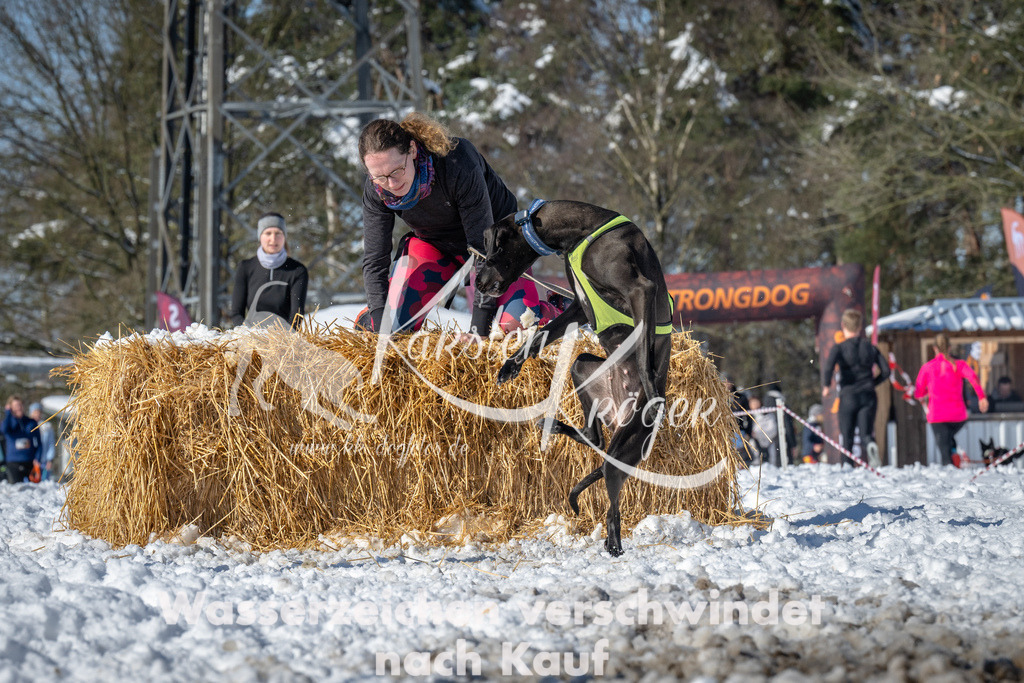 1117_ZZ91208-3 | kk-dogfotos