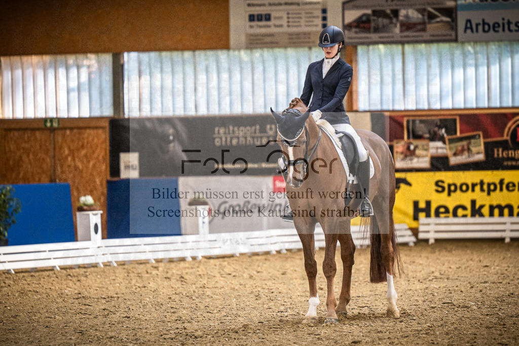DOS_0698 | Entdecke hochwertige Reitturnierfotos von Foto Oger. Professionell, emotional und authentisch – jetzt Lieblingsmomente im Shop bestellen.Deutschlandweite Turnierfotografie. - Realisiert mit Pictrs.com