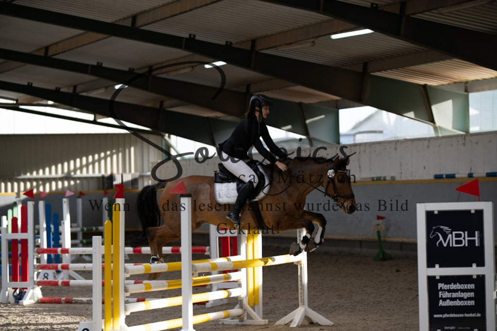 A7V02598 | Pferdefotograf