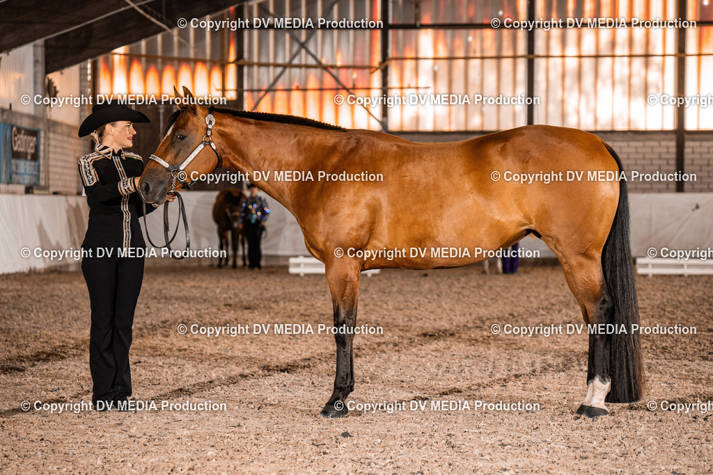 ZH100158 | dv-media-shop - Realisiert mit Pictrs.com