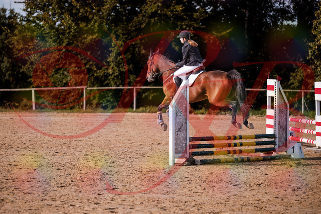 2026_10_03_Siefer-Hof_161012_Z81_89523018 | Professionelle Reitsport-, Turnier- und Eventfotografie von Robert Broda. Galerien mit ausgewählten und bearbeiteten Bildern direkt online ansehen und bestellen.