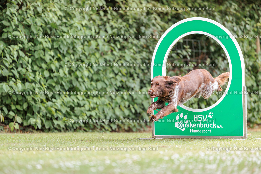 THS-Quakenbrück-2026-Nickbest-Hundefotografie-3243 | Dein Hund! Dein Moment! Deine Erinnerungen! Hundefotografie in Bremen Blumenthal. Ich fange die besonderen Momente deines Vierbeiners ein – ob Indoor mit Blitzanlage oder in der freien Natur. Sicher dir dein Moment und dein Termin für eure Erinnerungen.