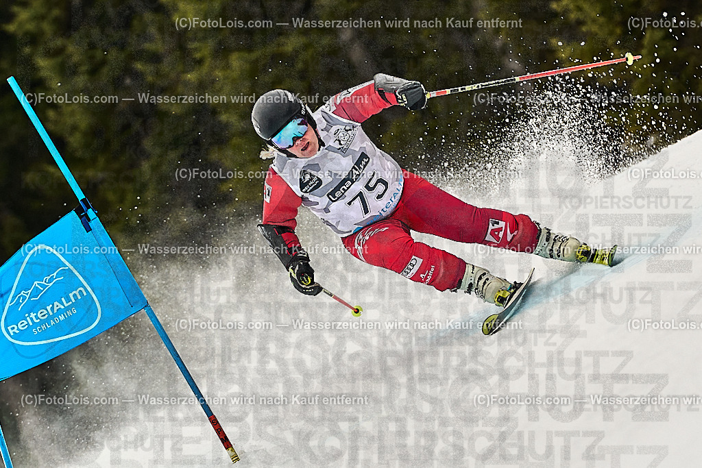 _WWO4324_MASTERS-WM_Reiteralm_CD-SG_ESLETZBICHLER Elfriede | FISWORLD CHAMPIONSHIPSMASTERS ALPINE SKIING, 23. – 28. MÄRZ 2026 - REITERALM | STMK | AUT.   Veranstaltet vom Masters-Referat des Deutschen Skiverbandes (DSV). Durchführende Organisation: WSV Pichl-Reiteralm, unterstütutzt von den Bergbahnen REITERALM bei Schladming und SKI AUSTRIA.                            Disziplinen:  Super-G, GiantSlalom, Slalom.                                                 Kategorien:  A (Herrn 30-59 Jahre), B (Herrn ab 60 Jahre), C (Damen 30-59 Jahre), D (Damen ab 60 Jahre).                Rennstrecken:   Gasselhöhe und Muldenliftpiste auf der Reiteralm.