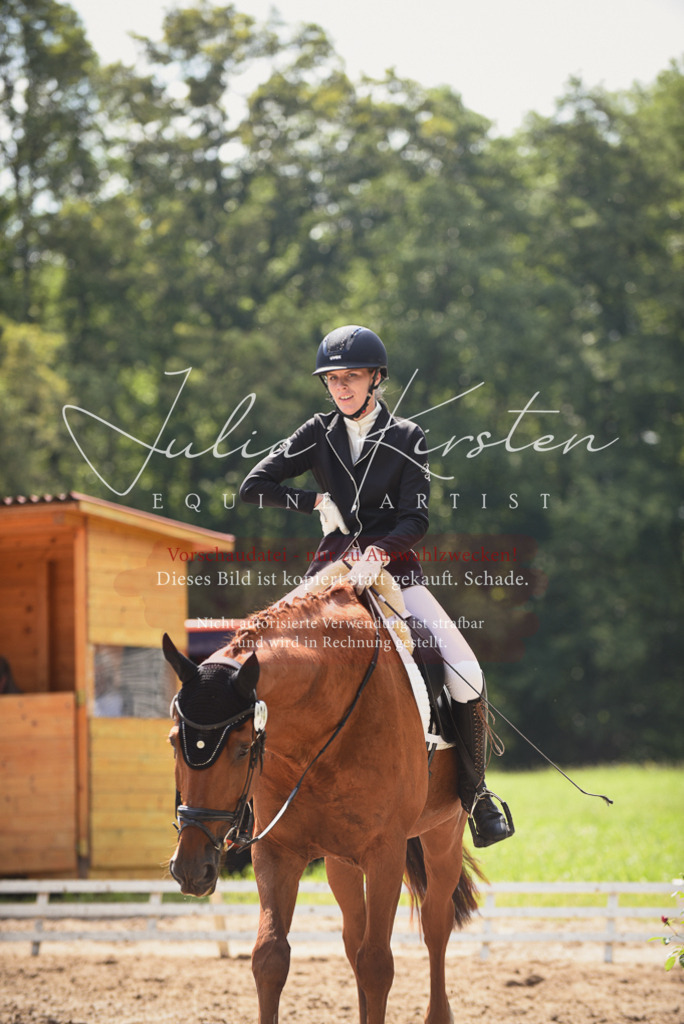 DSC_0745 | Pferde- und Turnierfotografie in Westsachsen. Pferdeportraits, Auftragszeichnungen und intuitive Kunst.