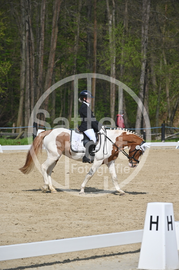 DSC_0995 | sattelsport - Realisiert mit Pictrs.com