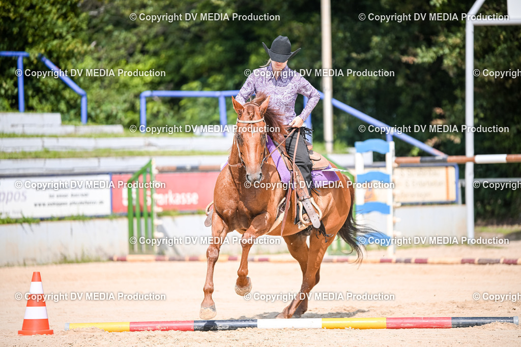 ZS2_3587 | dv-media-shop - Realisiert mit Pictrs.com