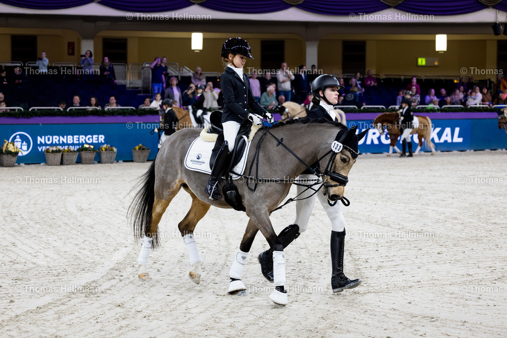 TH_Führzügel Wettbewerb_ Nürnberger_ 133-BROENNER Tilda Margret (GER)_ Arts Deileila_12804 | Führzügel Wettbewerb, Nürnberger, 133BROENNER Tilda Margret (GER), Arts Deileila beim Festhallen Reitturnier Frankfurt 2023 am 15.12.23 in Frankfurt, Festhalle