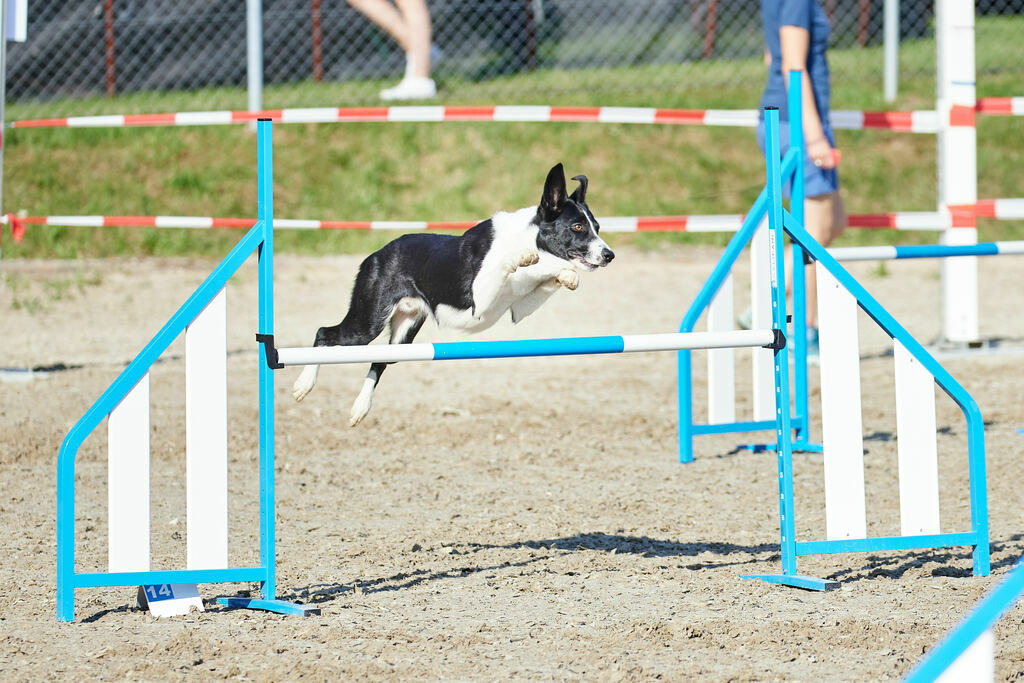 580A0109 | Peter Fridle Fotografie - Realisiert mit Pictrs.com