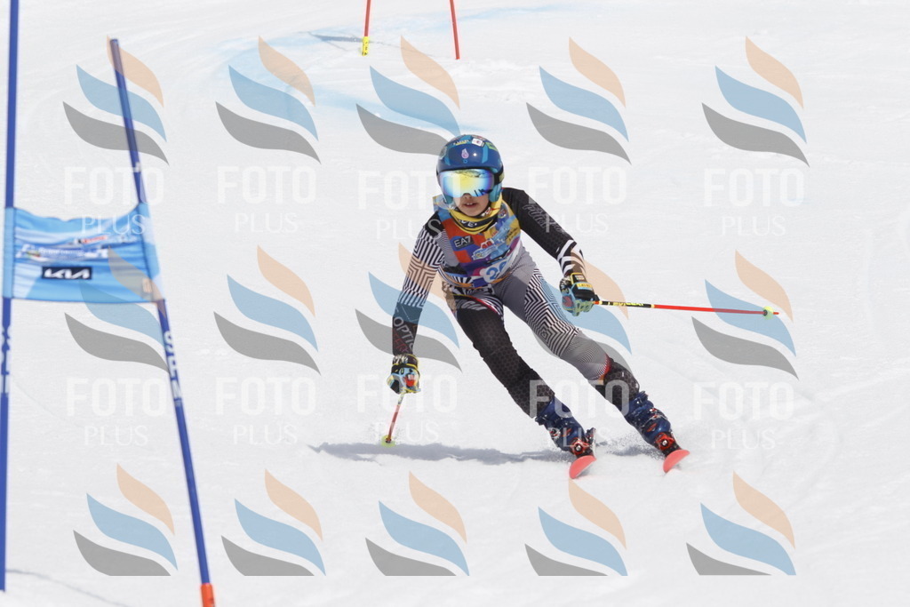 _U3G2409 | holidayphoto