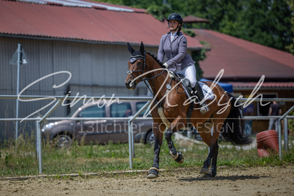 20260704-_3LI8700 | Tierfotografie Pferde, Hunde, Katzen, Haustiere.
Turnierfotografie Reitturniere, Reiten, Springreiten, Dressur in Hanau, dem Main-Kinzig-Kreis und dem Rhein-Main- Gebiet um Frankfurt