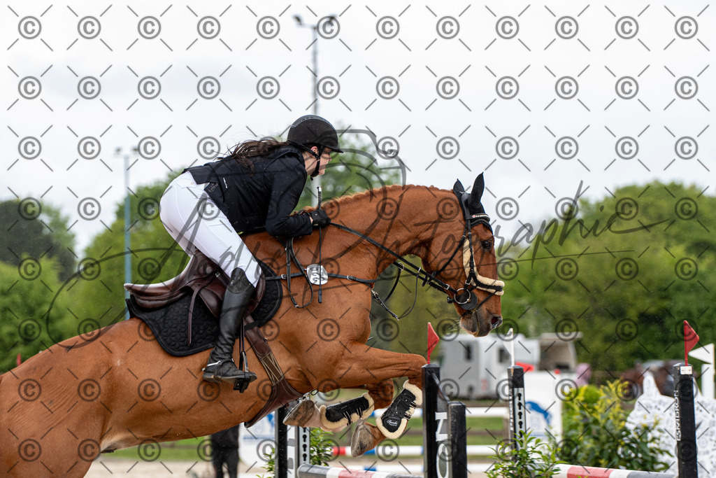 KPT_0060 | andre_photographic