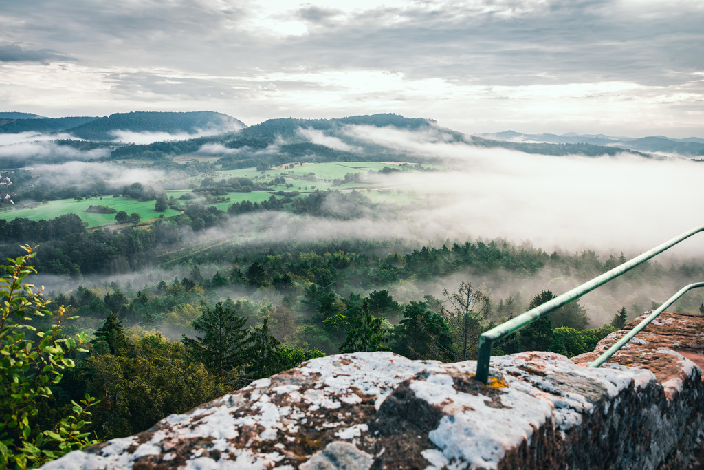Burgruine Drachenfels | Der Ausblick von der Burgruine Drachenfels.