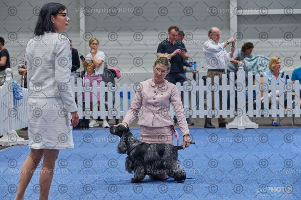 202406_ÖKV-IHA-Tulln24_DSC_5119 | proPHOTO - Realisiert mit Pictrs.com