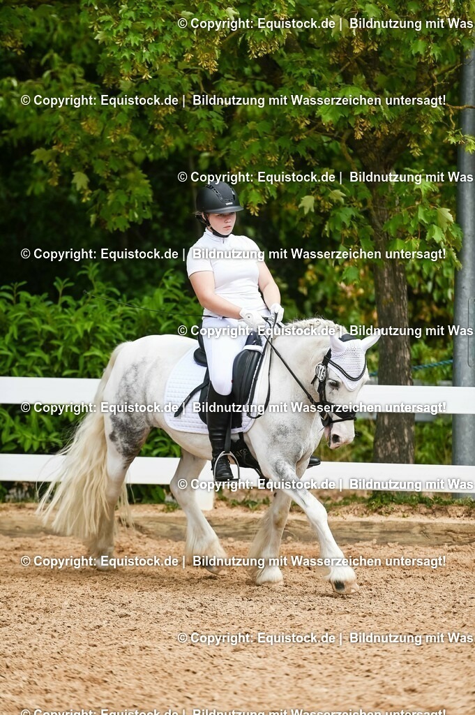 20230715_05_Dressurprüfung Kl.A++_0248 | equistock