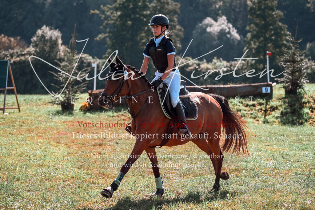 DSC_0959 | Pferde- und Turnierfotografie in Westsachsen. Pferdeportraits, Auftragszeichnungen und intuitive Kunst.