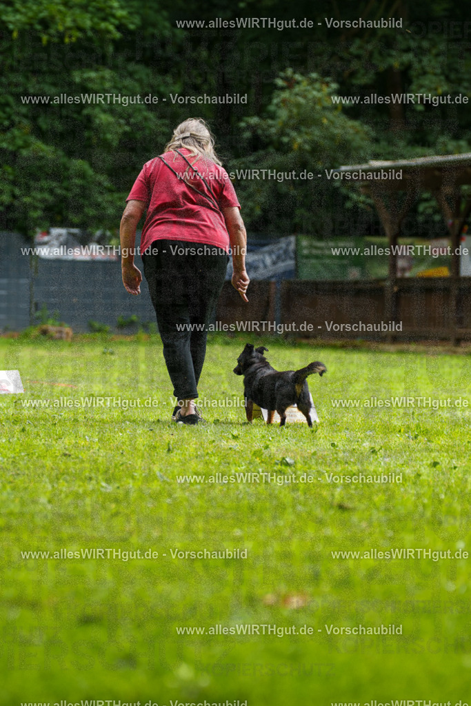 @allesWIRTHgut_Tierfotografie - www.allesWIRTHgut.de - 090415-7R506493 | Professionelle Tierfotografie in Mönchengladbach von Daniel Wirth (allesWIRTHgut). Liebevolle & natürliche Bilder von Hunden & Katzen für unvergessliche Erinnerungen.
