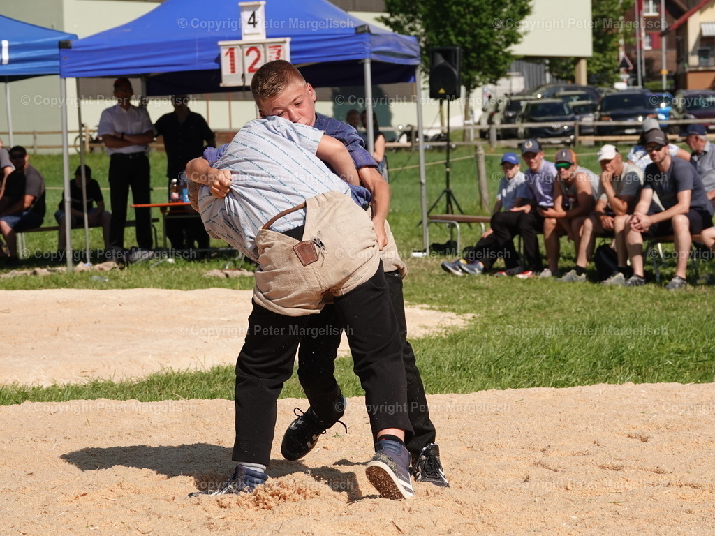 DSC04755 | Schwingen - Realisiert mit Pictrs.com