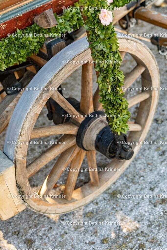 LBT25-1329 | foto-bettina-krinner - Realisiert mit Pictrs.com