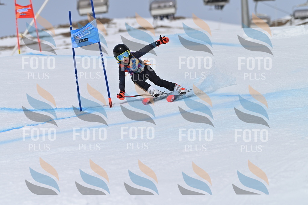 BGV_4231 | holidayphoto