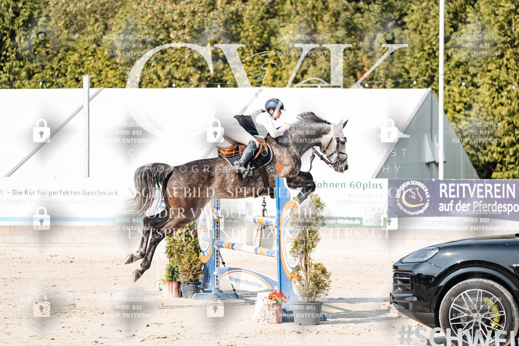 CK902420 | Turnierfotografie Pferdefotografie Trier Rheinland-Pfalz Pferdesport Reitsport Tierfotografie Sportfotografie Pferdevideo Pferdevideografie Equestrianvideography equestrianphotography  - Realisiert mit Pictrs.com