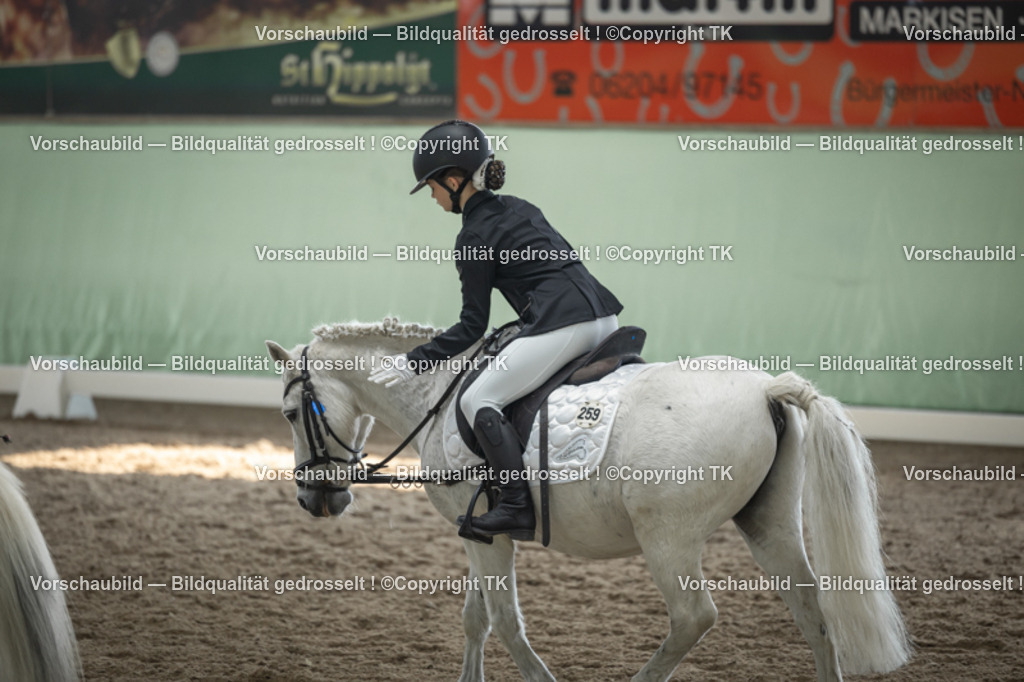 _D5A5710 | Emotionale Pferde- & People-Fotografie rund um Heidelberg, Leimen & Umgebung. Natürliche Fotos von Pferd, Mensch & Familie. Jetzt Termin sichern!