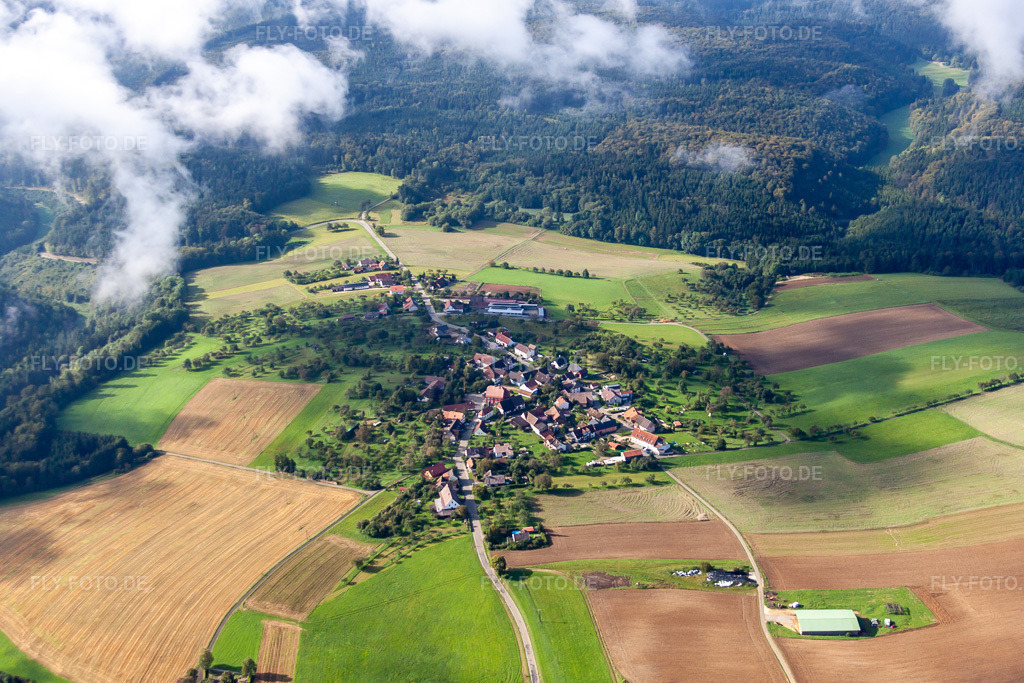 Luftbild: Ortsansicht von Norden im Ortsteil Biesendorf in Engen im Bundesland Baden-Württemberg in Deutschland. Foto: IMG_71362.jpg vom 30.08.2014 durch Werner Riehm/FLY-FOTO.de