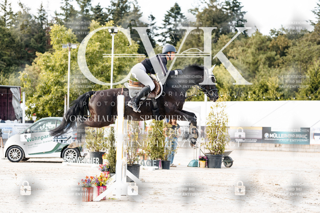 CK903201 | Turnierfotografie Pferdefotografie Trier Rheinland-Pfalz Pferdesport Reitsport Tierfotografie Sportfotografie Pferdevideo Pferdevideografie Equestrianvideography equestrianphotography  - Realisiert mit Pictrs.com