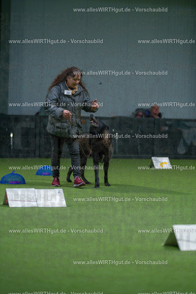 7R500037 | Professionelle Tierfotografie in Mönchengladbach von Daniel Wirth (allesWIRTHgut). Liebevolle & natürliche Bilder von Hunden & Katzen für unvergessliche Erinnerungen.