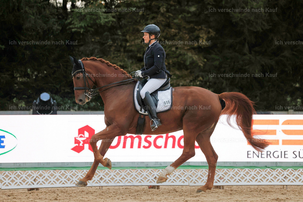 04_2-090-Dressur M__ -StoibPH-2997 | working equitationturnier fotograf videograf stoibphotography marixx film working equitation deutschland reitsport turnierfotografie eventfotografie equestrian events