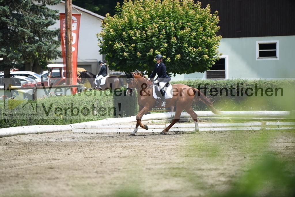 DSC_9382 | equestrian-live-com