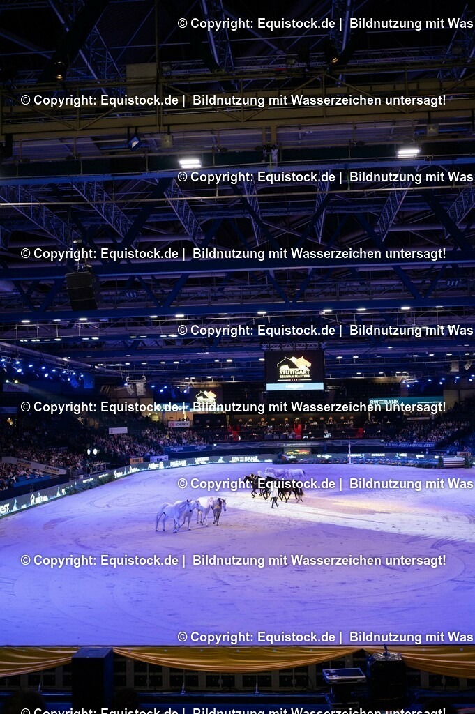 20231115_Show-Jean-Francois-Pignon_0126_TOMsPiC | Foto: Thomas Hartig