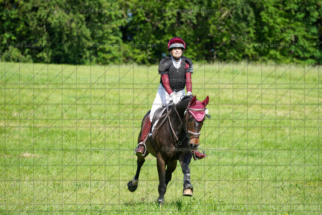 20240518-FAH04105 | Turnierbilder von Niederseon, Turnierfotografen Bayern, Fotoagentur Herrmann, Geländebilder, Reitsportfotografie