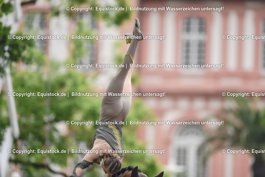 20240519_Voltige_0345 | Foto: Thomas Hartig