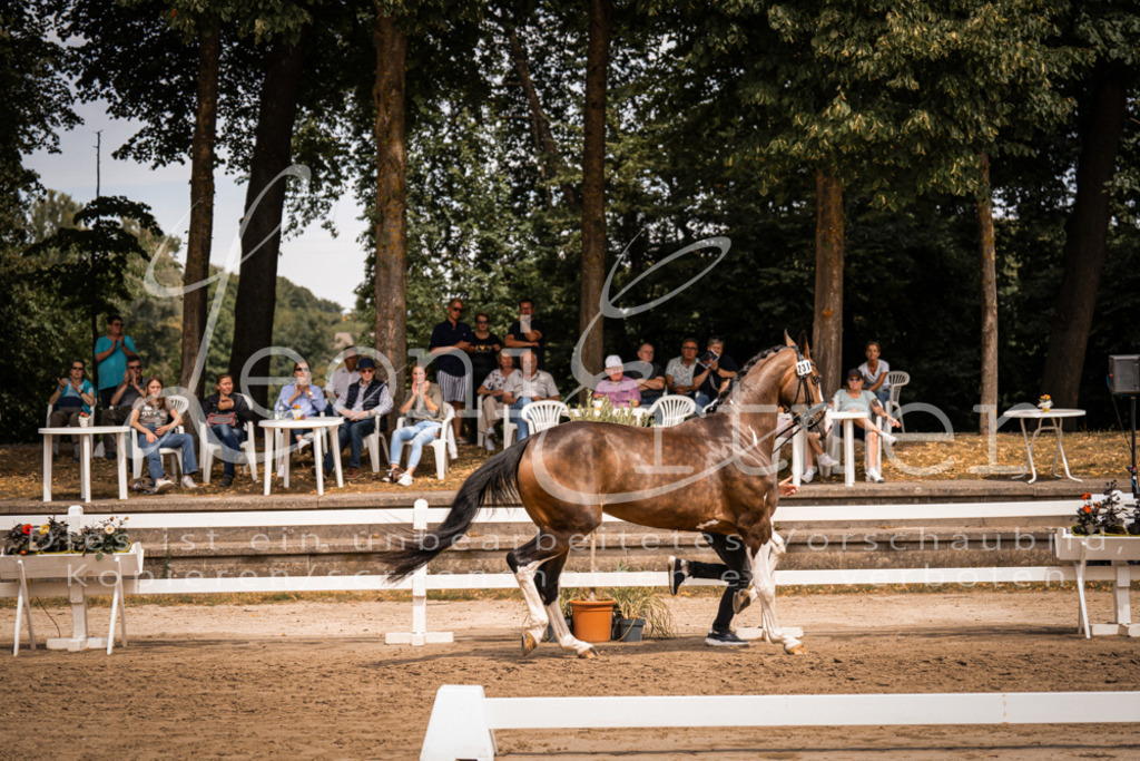 3.Fr00217 | Leoni Ertmer Photography - Realisiert mit Pictrs.com