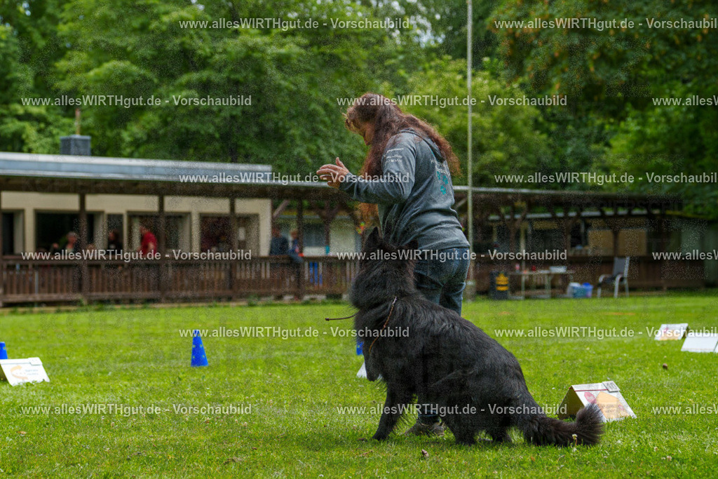 @allesWIRTHgut_Tierfotografie - www.allesWIRTHgut.de - 7R501706 | Professionelle Tierfotografie in Mönchengladbach von Daniel Wirth (allesWIRTHgut). Liebevolle & natürliche Bilder von Hunden & Katzen für unvergessliche Erinnerungen.