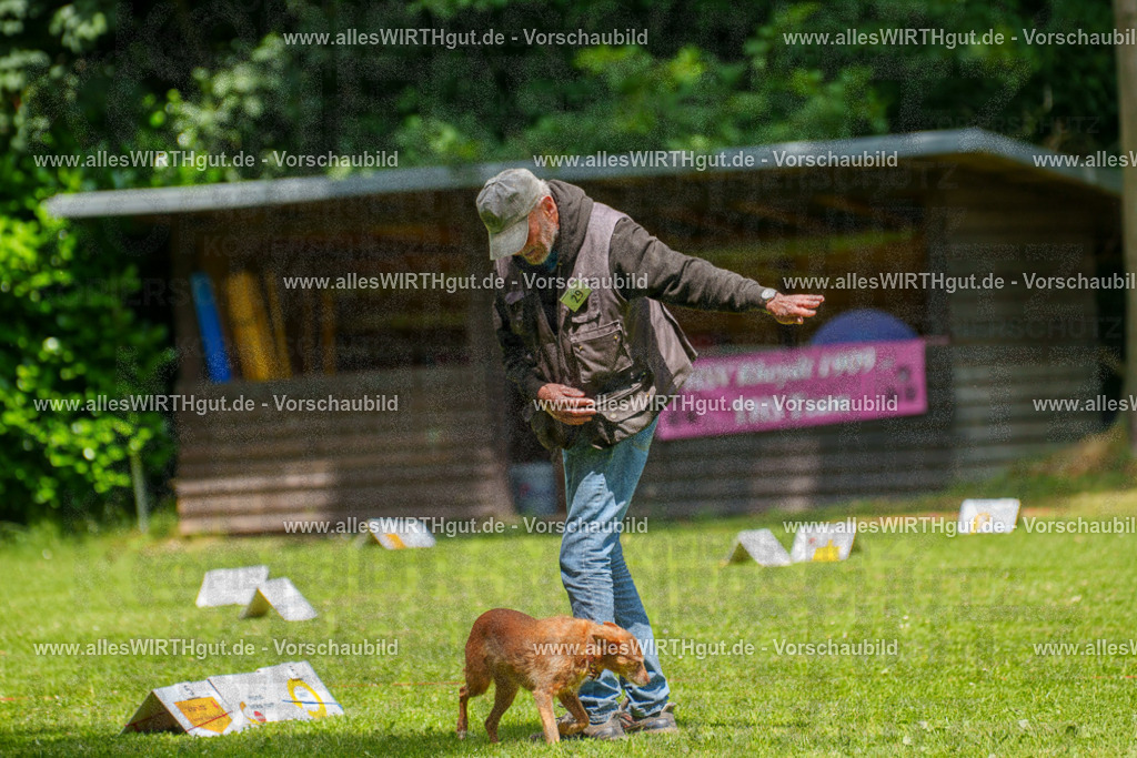 @allesWIRTHgut_Tierfotografie - www.allesWIRTHgut.de - 7R504159 | Professionelle Tierfotografie in Mönchengladbach von Daniel Wirth (allesWIRTHgut). Liebevolle & natürliche Bilder von Hunden & Katzen für unvergessliche Erinnerungen.