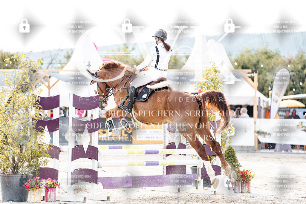 CK906933 | Turnierfotografie Pferdefotografie Trier Rheinland-Pfalz Pferdesport Reitsport Tierfotografie Sportfotografie Pferdevideo Pferdevideografie Equestrianvideography equestrianphotography  - Realisiert mit Pictrs.com