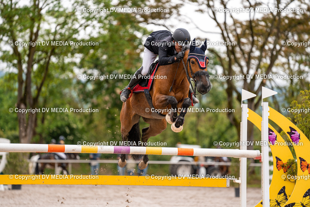 Eppelheim Tag 3-25 | dv-media-shop - Realisiert mit Pictrs.com