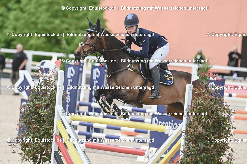 20230514_CCI4_Springen_0020 | equistock