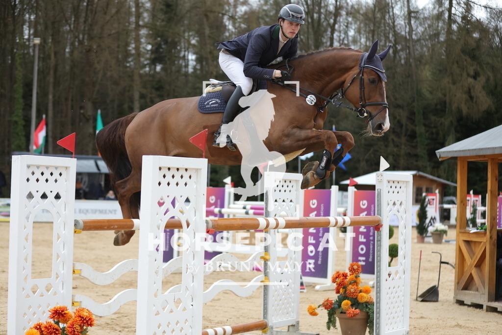 0P6A4470 | Willkommen bei Brunnmayr - Design & Fotografie – Ihrem Spezialisten für Reitturniere und Pferdeveranstaltungen in Oberösterreich, Salzburg und Bayern! Seit über 17 Jahren sind wir leidenschaftlich dabei.