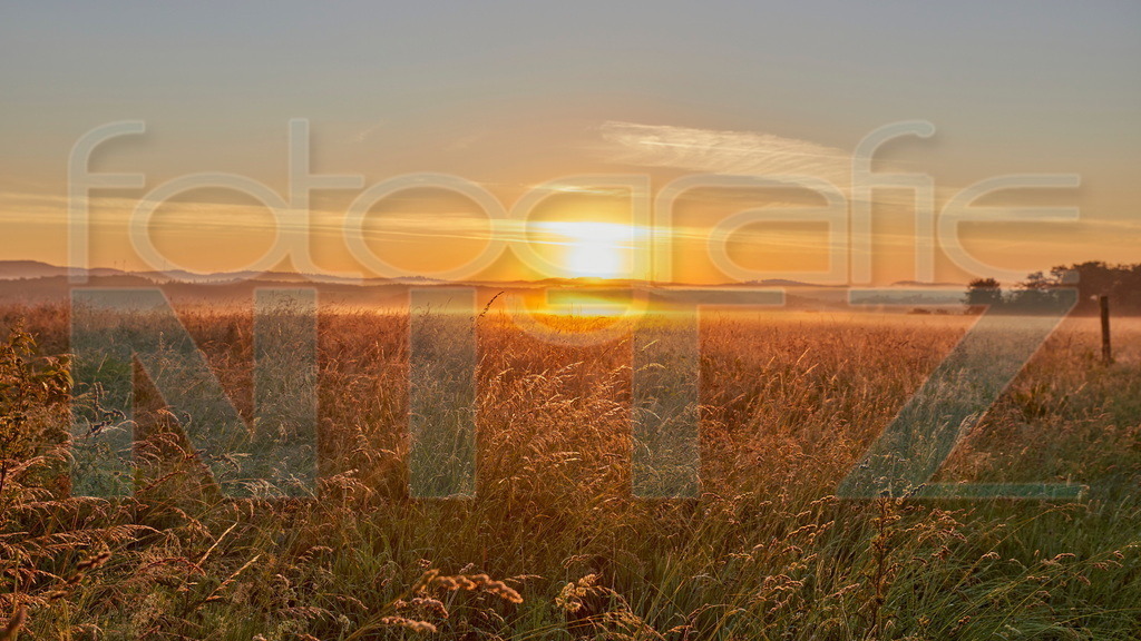 2022-06-21 05-33-30_5D420946 | Nitz Fotografie aus Montabaur bietet Ihnen hier die Möglichkeit Bilder auszusuchen und zu bestellen. 